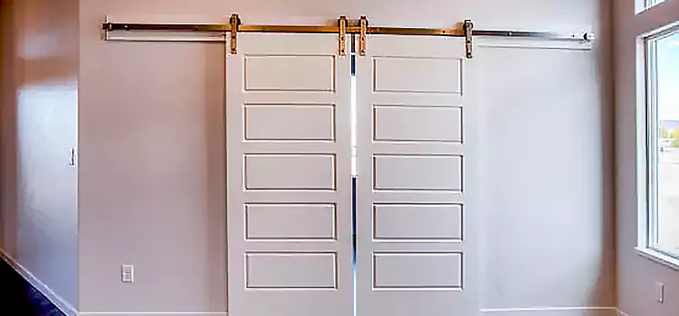 Glass Barn Door with Installation Hardware Kit Morristown
