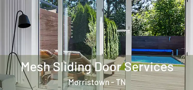 Mesh Sliding Door Services Morristown - TN