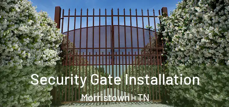 Security Gate Installation Morristown - TN